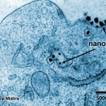 500x_cancer-nanoparticles